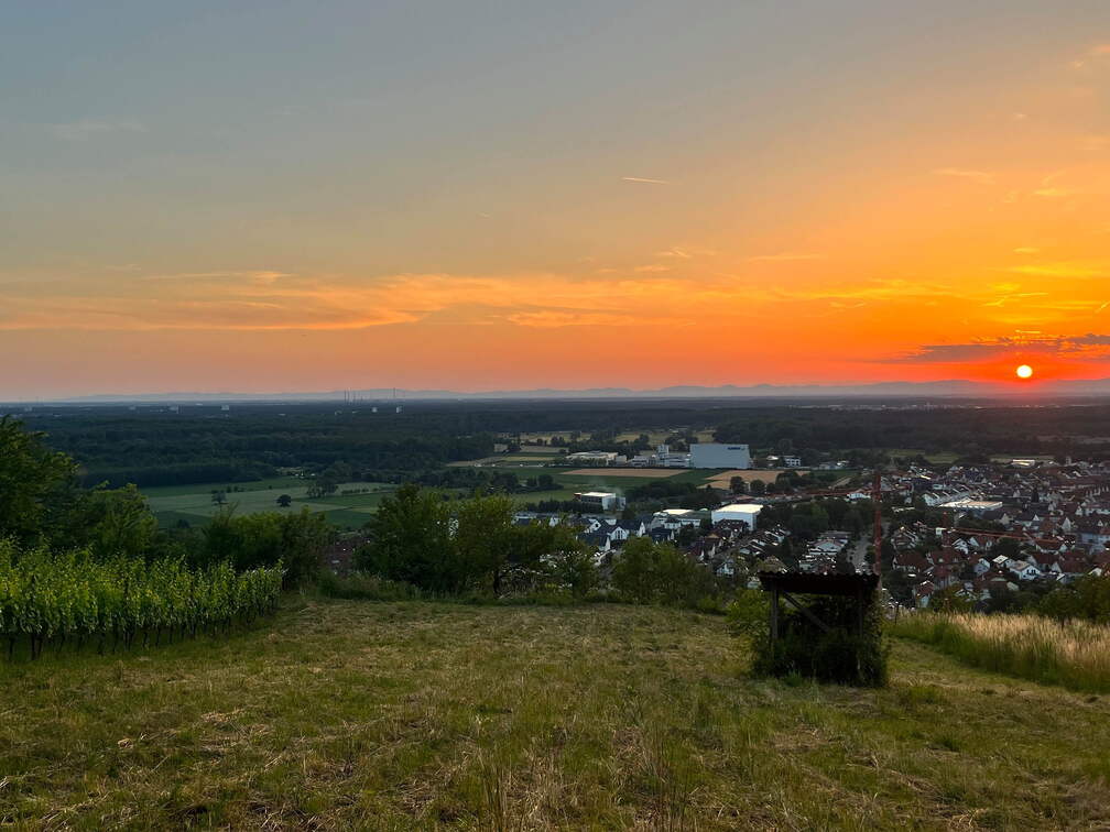 22-06-15 21-23-01 1113